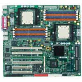 Server Mother Board (Server Mother Board)