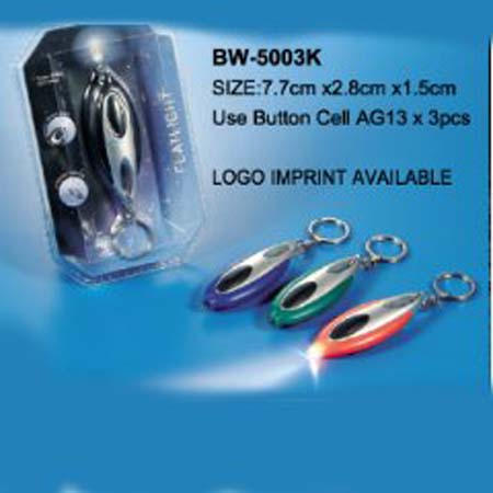 LED Light with key chain (LED Light with key chain)