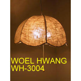 pendant light (pendant light)