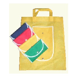 Shopping Bag (Shopping Bag)