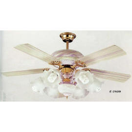 Lighting: Ceiling Fan Light (Lighting: Ceiling Fan Light)