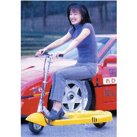 Electric Mini Scooter (Mini Electric Scooter)