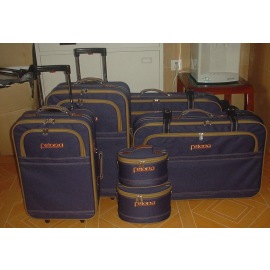 baggage,luggage,valise (des bagages, des bagages, la valise)