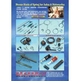 Valve Spring, Tension Spring, Spring for tube nest, Double Torsion Spring, Sprin