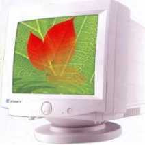 CRT MONITOR (CRT MONITEUR)