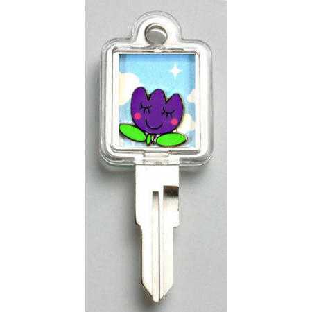 LOCKS,KEY-CHAIN,GIFT (LOCKS, KEY-CHAIN, GIFT)