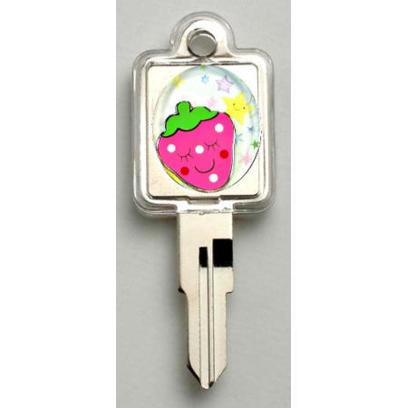 LOCKS,KEY-CHAIN,GIFT (LOCKS, KEY-CHAIN, GIFT)