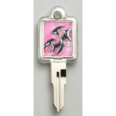 LOCKS,KEY-CHAIN,GIFT (LOCKS,KEY-CHAIN,GIFT)