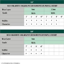 SPECIFICATION (SPEZIFIKATION)