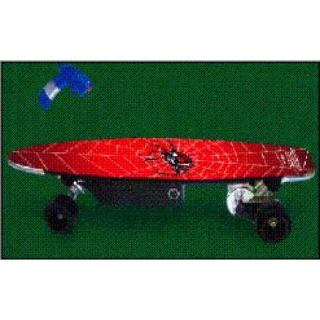 Electric Skateboard