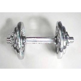 10KGS Chrome Dumbbell Set (10 кг Хромированный набор гантелей)