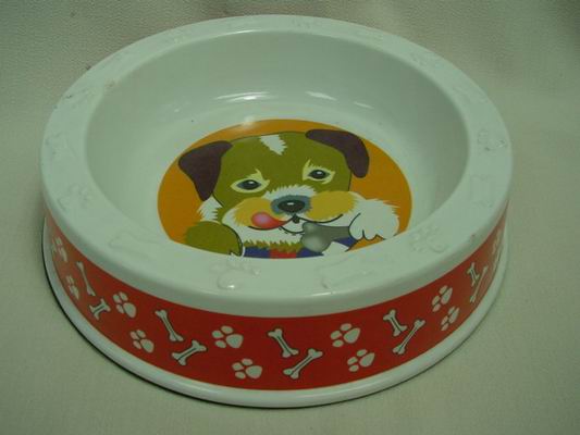 Pet Bowl