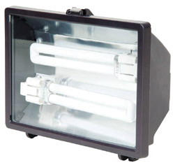 Fluorescent Floodlight (Fluorescent projecteur)