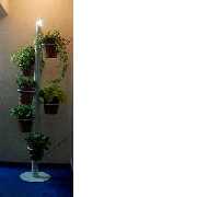 LE-01B Pandora Flower Pots with Adjustable Lightning (LE-01B Пандоры Цветочные горшки с регулируемым Молния)