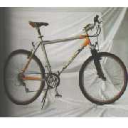 Complete Bicycle (Complete Bicycle)