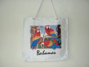 Shopping Bag (Shopping Bag)