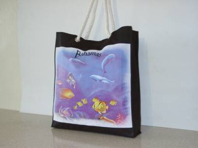 Shopping Bag (Shopping Bag)