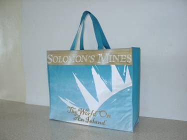 Shopping Bag (Shopping Bag)