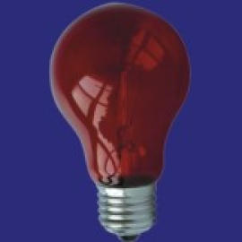 COLOR BULB (COLOR BULB)