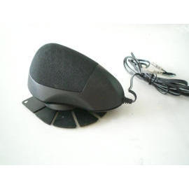 car speaker (parleur de voiture)