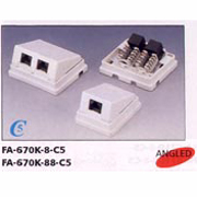 FA-670-8/88-C5 Surface Mount Box (FA-670-8/88-C5 Surface Mount Box)