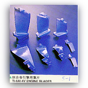 Ti-6A1-4V Engine Blades (Ti-6A1-4V Engine Blades)