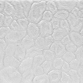 Patterned Polystyrene Panels PS for Shower Door / Cabinet & Partition (Полистирол рисунок панели PS для душа двери / Кабинет & разделов)