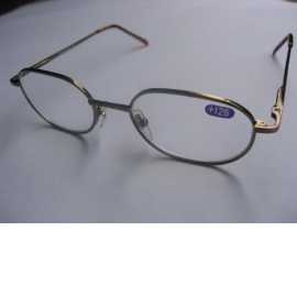 READING GLASSES (READING GLASSES)