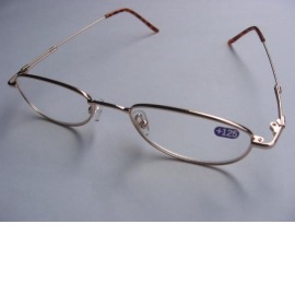 READING GLASSES (READING GLASSES)