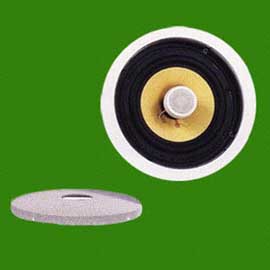 CEILING SPEAKER (Потолочный громкоговоритель)