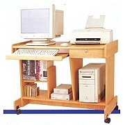 COMPUTER DESK (COMPUTER DESK)