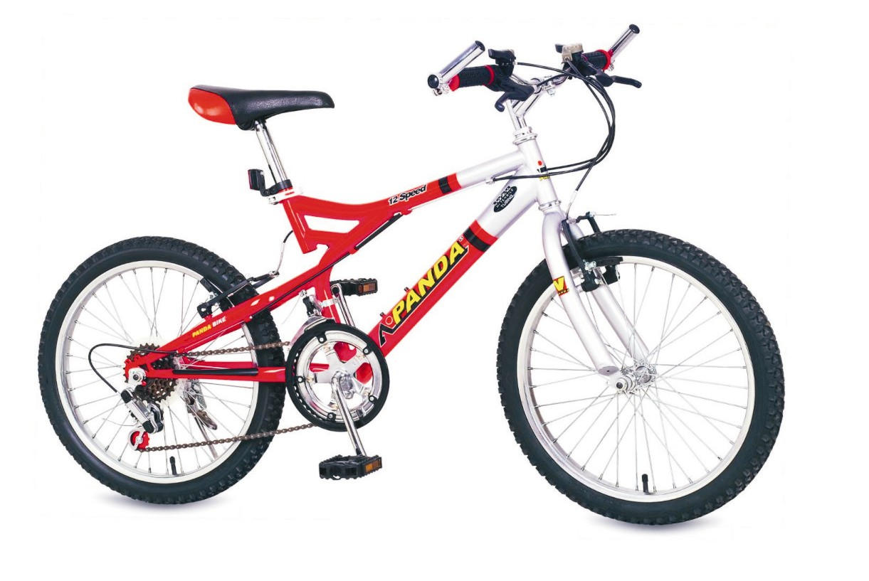 20`` 12-SPEED MTB (20`` 12-SPEED MTB)