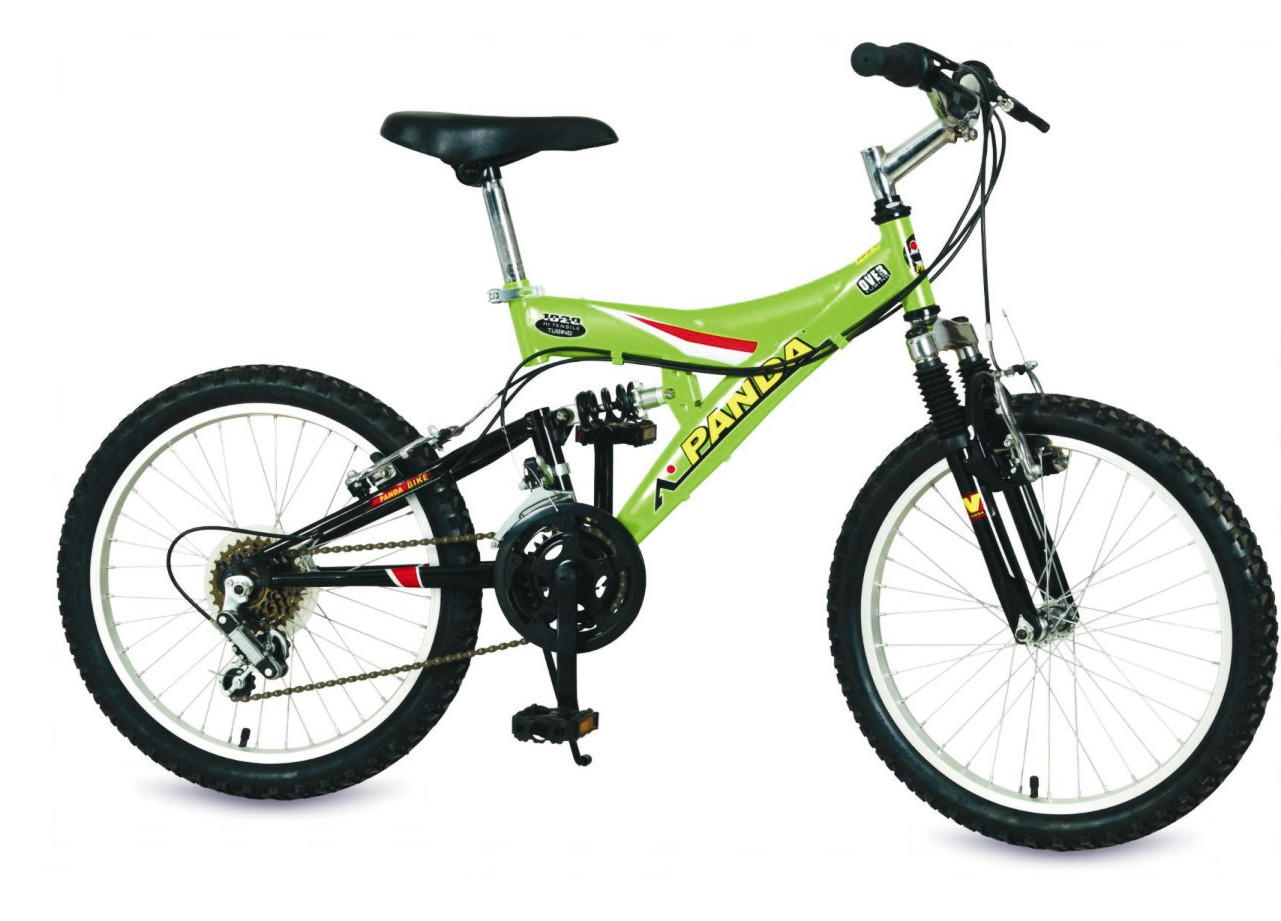 20`` 12-SPEED DUAL SUSPENSION (20``12 vitesses à double suspension)