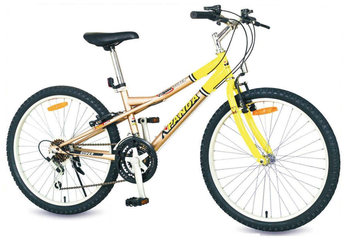 24`` 21-SPEED MTB (24``21-Gang MTB)