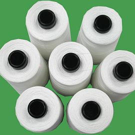 Raw Materials; Polyester Textured Yarn. (Matières premières; texturé de polyester.)