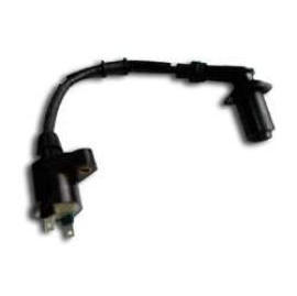 Ignition coils (Ignition coils)