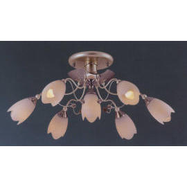 Ceiling Lamp (Ceiling Lamp)