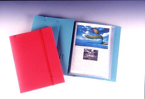 CLEAR BOOK & DOCUMENT CASE 20P , A4 (CLEAR BOOK & DOCUMENT CASE 20P, A4)