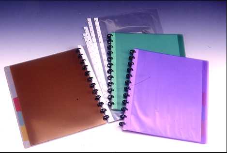 CLEAR BOOK 20P , A4 (TRANSPARENT) ; WITH ``T`` TYPE PUNCHING POCKET ; W/5 INDEX (Писания 20P, A4 (TRANSPARENT); с``Т``Тип ПЕРФОРАЦИЯ кармане; Вт / 5 ИНДЕКС)