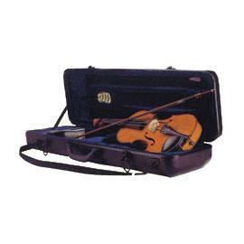 Auto dehumidifying case for violin