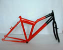 FRAME/FORK (Frame / FORK)