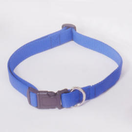 Adjustable Dog Collar with Therapeutic Magnets (Регулируемый ошейник с лечебными магнитами)