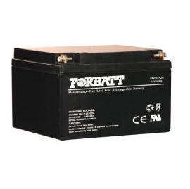 FORBATT NP Battery (FORBATT batterie NP)