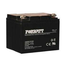 FORBATT NP Battery (FORBATT Н.П. Аккумулятор)