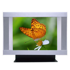 20-Inch LCD/TV Monitor