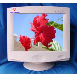 15-Inch CRT PC Monitor (15-inch CRT moniteur PC)
