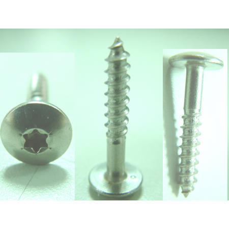 TAPPING SCREW--TORX TRUSS HEAD SELF TAPPING SCREW STAINLESS STEEL (TAPPING SCREW - TORX TRUSS HEAD AUTOTARAUDEUSES VIS EN ACIER INOXYDABLE)