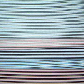 Striped Yarn Dyed Jersey Fabric Made of 45% Nylon, 55% Polyester and 5% Spandex (Striped Yarn Dyed Jersey Fabric Made of 45% Nylon, 55% Polyester and 5% Spandex)