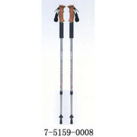 WALKING STICK (GEHSTOCK)