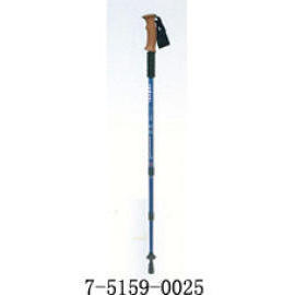 WALKING STICK (WALKING STICK)